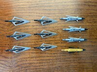 IMG_2467.jpeg