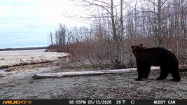 IMG_1445.jpeg IMG_1445.jpeg