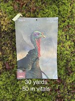 IMG_8734.jpeg