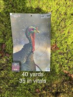 IMG_8740.jpeg