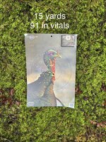 IMG_8739.jpeg