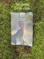 IMG_8735.jpeg