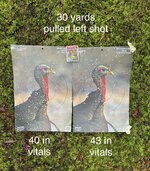 IMG_8737.jpeg