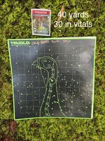 IMG_8743.jpeg