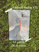 IMG_8738.jpeg