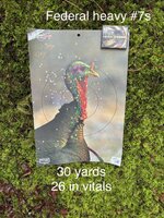 IMG_8736.jpeg
