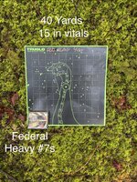 IMG_8741.jpeg