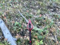 IMG_1458.jpeg