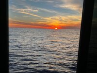 IMG_1428.jpeg