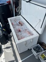 IMG_1456.jpeg