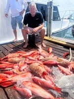 IMG_1466.jpeg