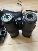 IMG_335.jpeg