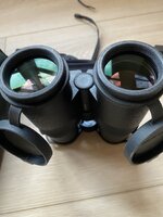 IMG_337.jpeg