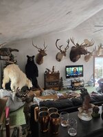 20250221_095704.jpg