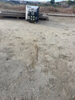 IMG_3546.jpeg