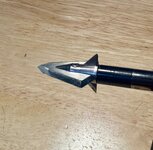 IMG_0245.jpeg