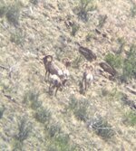 IMG_3425.jpeg