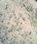 IMG_3421.jpeg