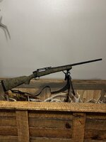 IMG_1317.jpeg IMG_1317.jpeg