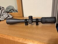 IMG_3636.jpeg