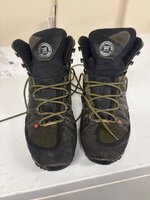 IMG_3785.jpeg
