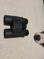 IMG_75.jpeg