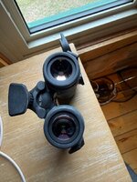 IMG_3177.jpeg IMG_3177.jpeg