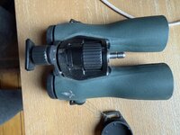 IMG_3179.jpeg