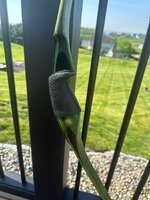 IMG_5167.jpeg