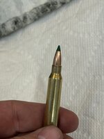 IMG_7472.jpeg