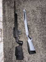 IMG_5653.jpeg