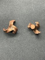IMG_7826.jpeg