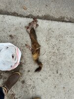 IMG_0144.jpeg IMG_0144.jpeg