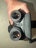 IMG_6020.jpeg