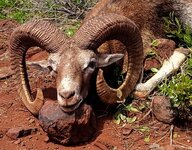 IMG_20180916_135459421_HDR.jpg