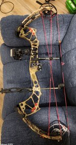 IMG_037.jpeg