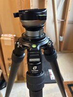IMG_1997.jpeg