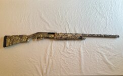 IMG_5558.jpeg