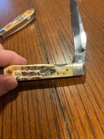 IMG_7139.jpeg