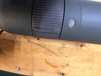IMG_3255.jpeg
