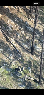 IMG_9220.png