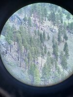 IMG_9045.jpeg