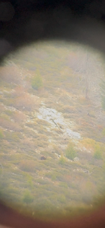 IMG_9218.png