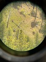 IMG_9038.jpeg