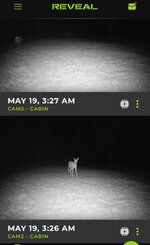 IMG_8879.jpeg