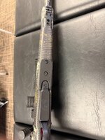 IMG_2365.jpeg