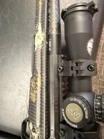 IMG_2366.jpeg