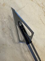 IMG_4811.jpeg