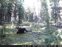 DSCF0380.JPG