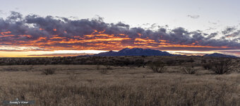 FG8A3515-Pano-Frosty 2025-2.jpg